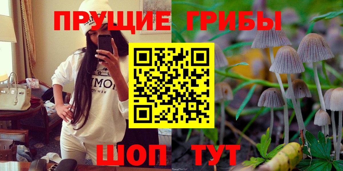 Кострома  Галлюциногенные грибы GOLDEN TEACHER  Вход с VPN 