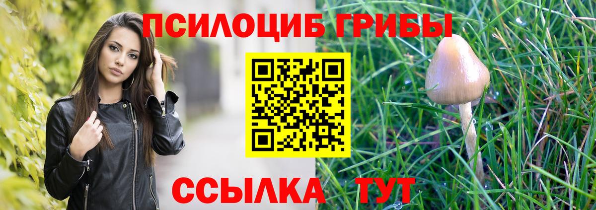 Галлюциногенные грибы MAGIC MUSHROOMS Кострома